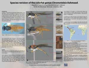 Chromoteleia poster