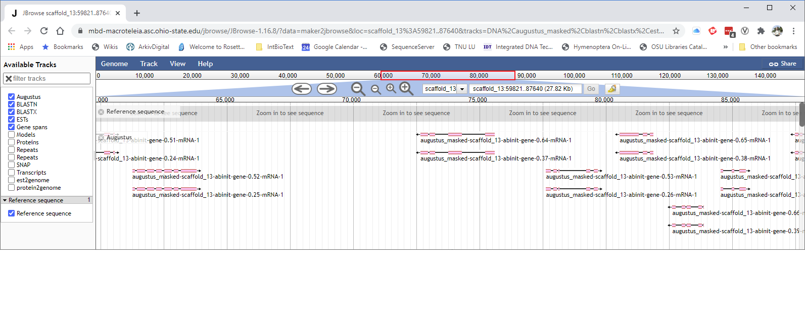 Screen capture of Trissolcus basalis genome in JBrowse